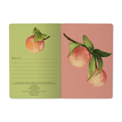 BV by Bruno Visconti A5 Notebook - Peaches